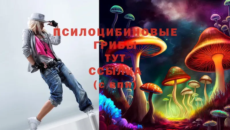 купить  сайты  Волгоград  hydra tor  Галлюциногенные грибы Psilocybine cubensis 